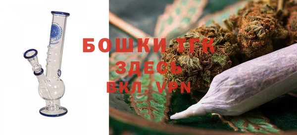 шишки Лихославль