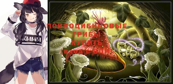 соль курить ск Липки