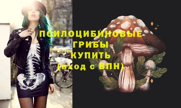 mix Аркадак