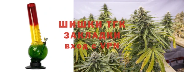 спайс Арсеньев